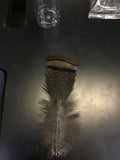 Feathers