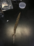 Feathers