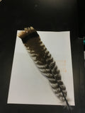 Feathers
