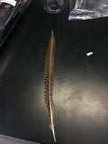 Feathers