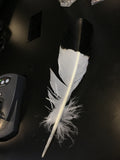Feathers