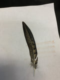 Feathers
