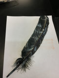 Feathers